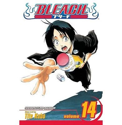 imagBleach 14: White Tower Rocks: Volume 14 Kubo Tite