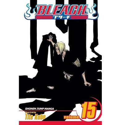 imagBLEACH 15 Kubo Tite