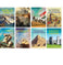 imag1Encyclopedia of History Set of 8 Books Encyclopedias Paperback Om Books Editorial Team