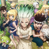 Dr. Stone