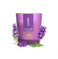 imag44 Pack Shot Glass Candles - Mahogany, Lavender, Rose & Vanilla