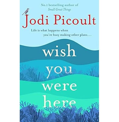 imagWISH YOU WERE HERE Paperback Picoult Jodi