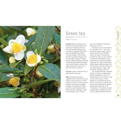 imagThe Healing Plants Bible: Godsfield Bibles Godsfield Bible Series