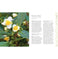 imag2The Healing Plants Bible: Godsfield Bibles Godsfield Bible Series