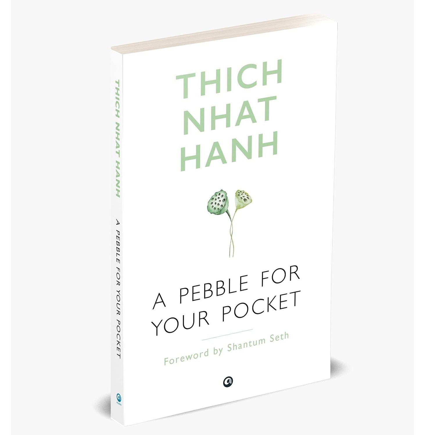 A Pebble For Your Pocket