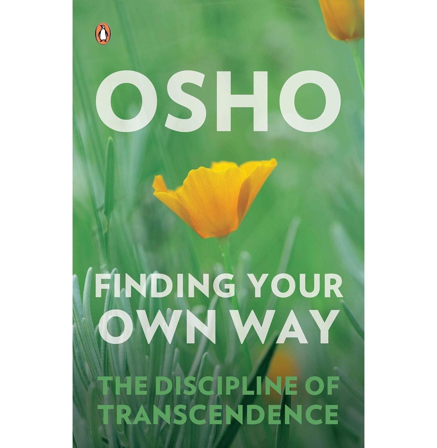 Finding Your Own Way