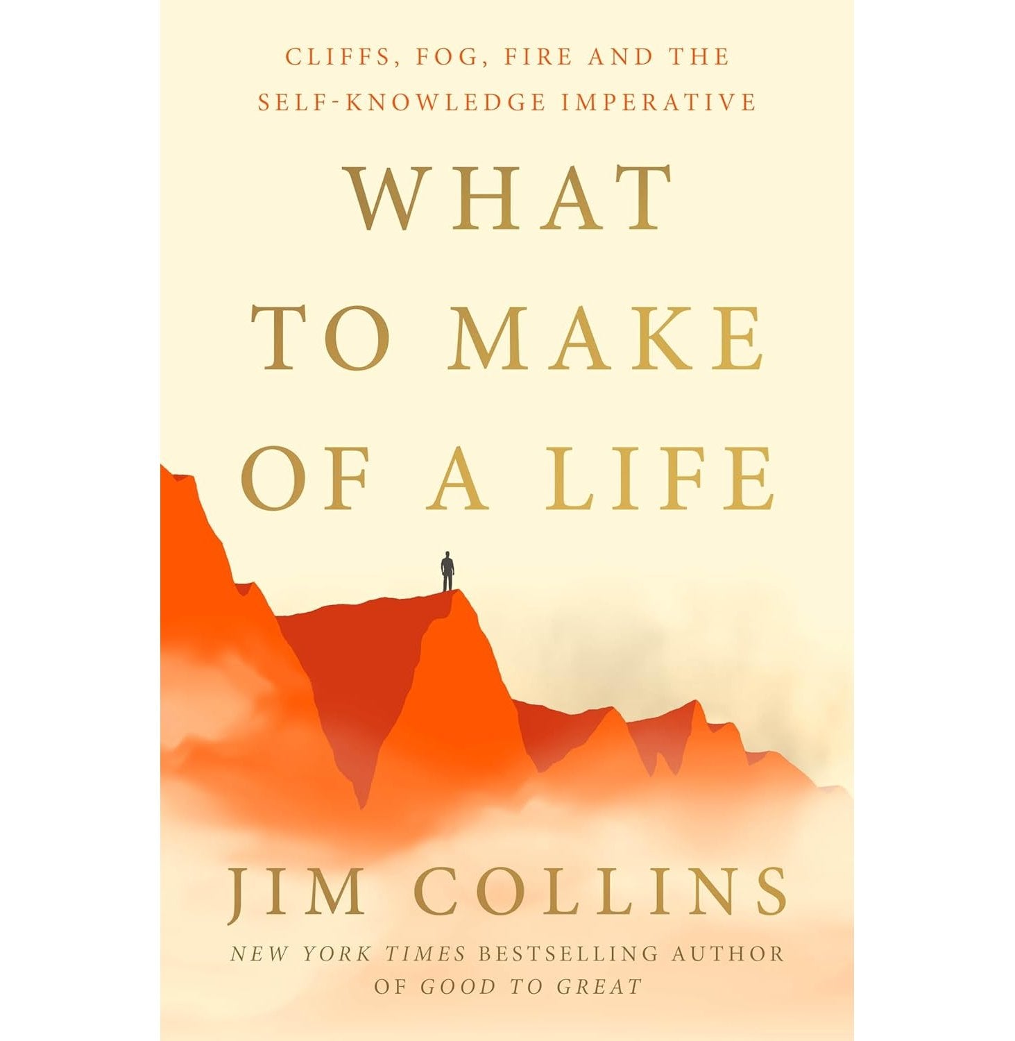 What To Make Of A Life: Cliffs, Fog, Fire And The Self-Knowledge Imperative