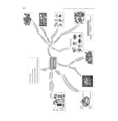 imagOswaal NCERT Textbook Solutions Class 6 Science | Mathematics | Set of 2 Books | For Latest Exam Oswaal