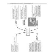 image //www.c...Oswaal CBSE 15 Sample Question Papers Class 12 Political Science for 2026 Board Exam