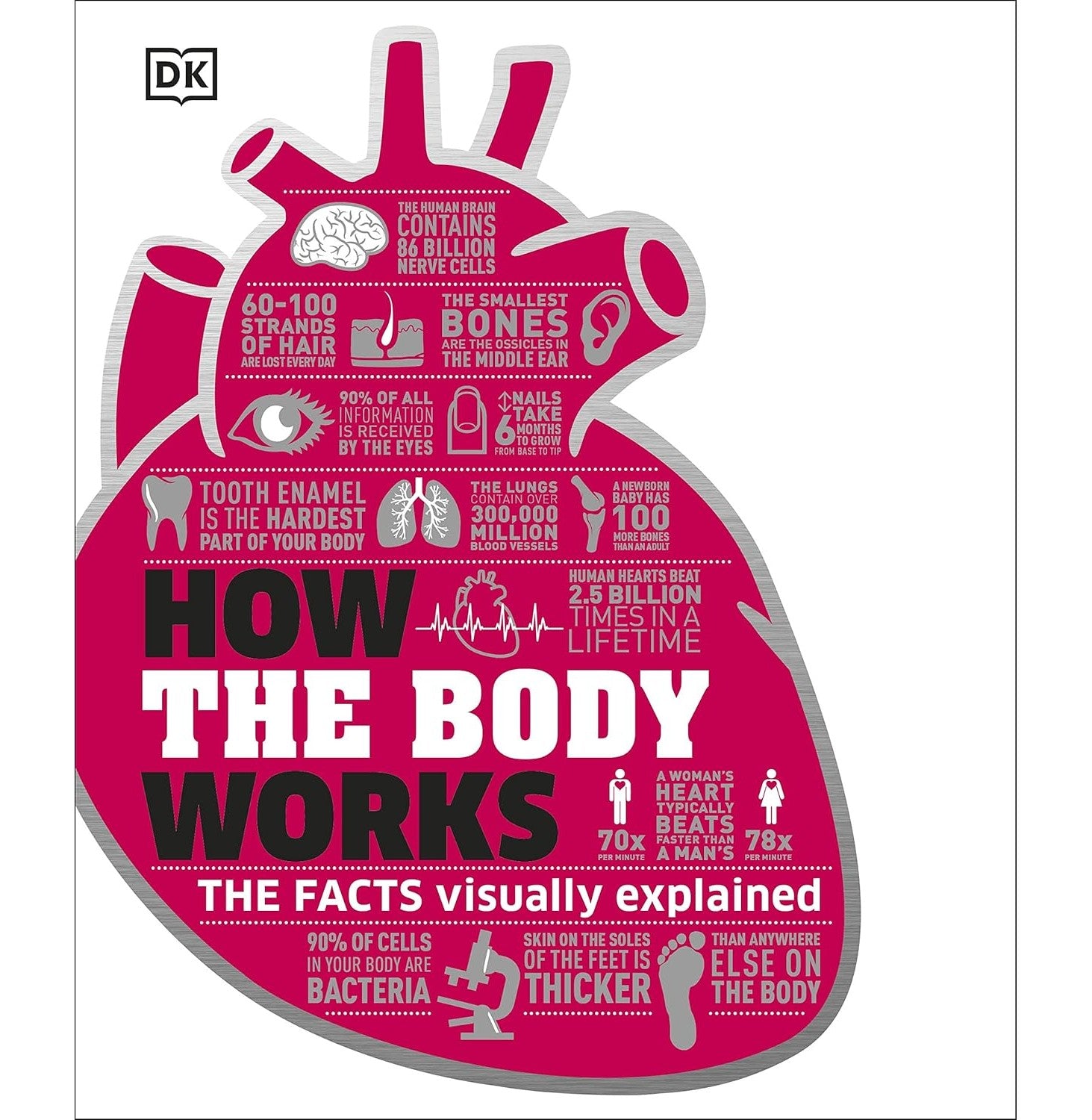 How The Body Works