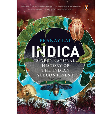 imagIndica - Paperback buy online at crossword.in