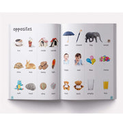 image //www.c...My First 500 Words: Early Learning Picture Book to learn Alphabet Numbers Shapes and Colours Transport Birds and Animals Professions Opposite Words Action Words Parts of the body and Objects Around Us. Paperback Wonder House Books