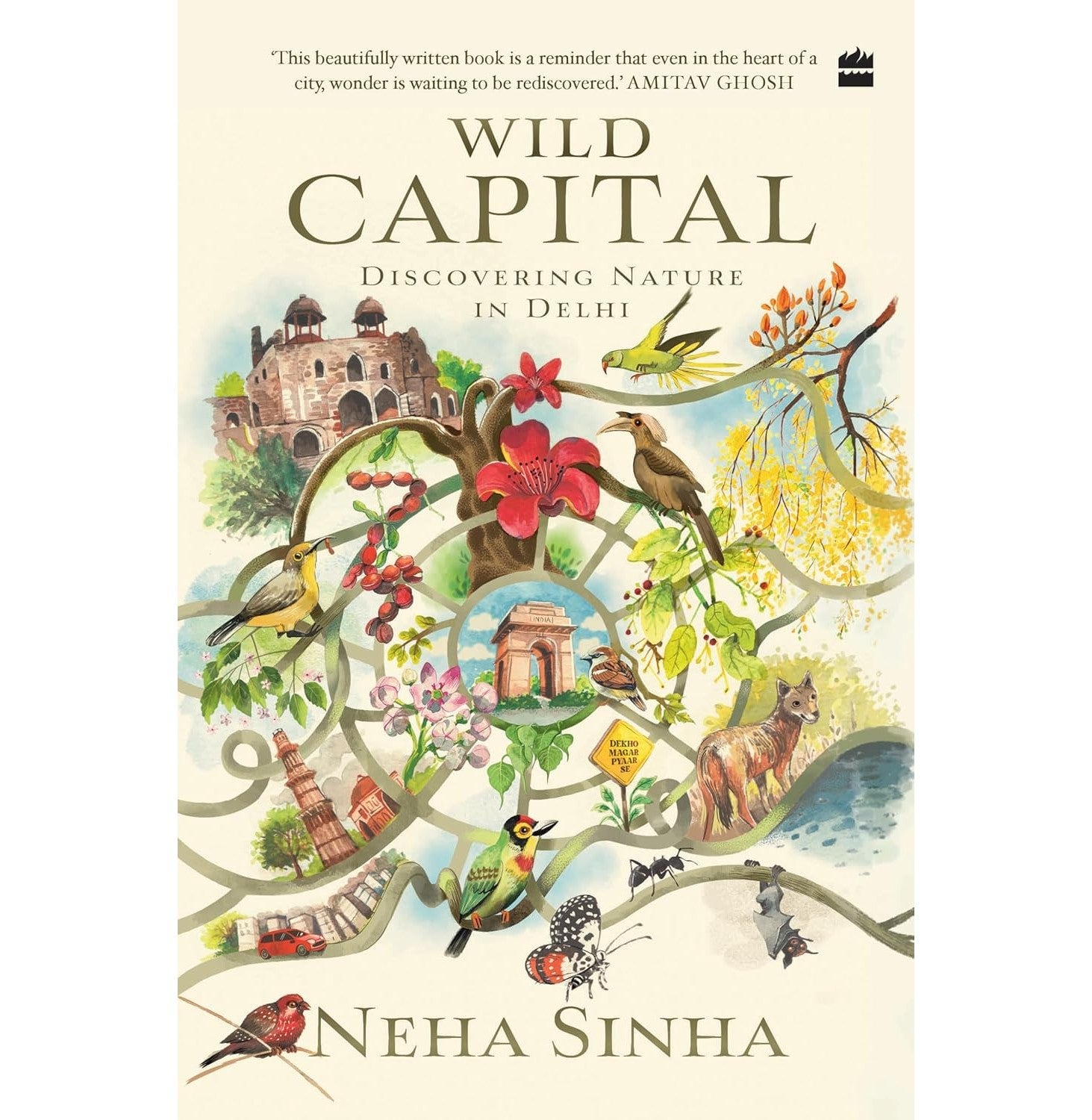 pdp-img