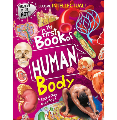 imagMy First Book Of Human Body
