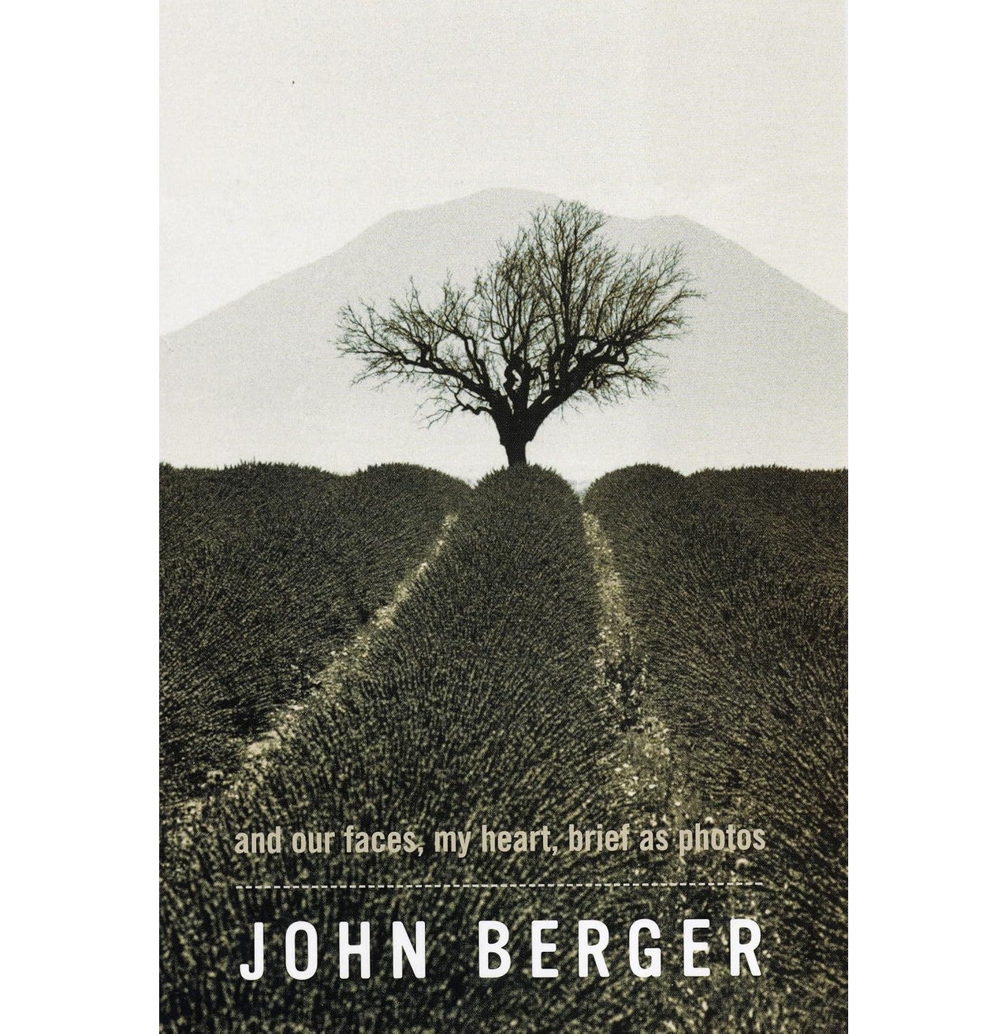 The Telegraph Big Book Of Codewords 1