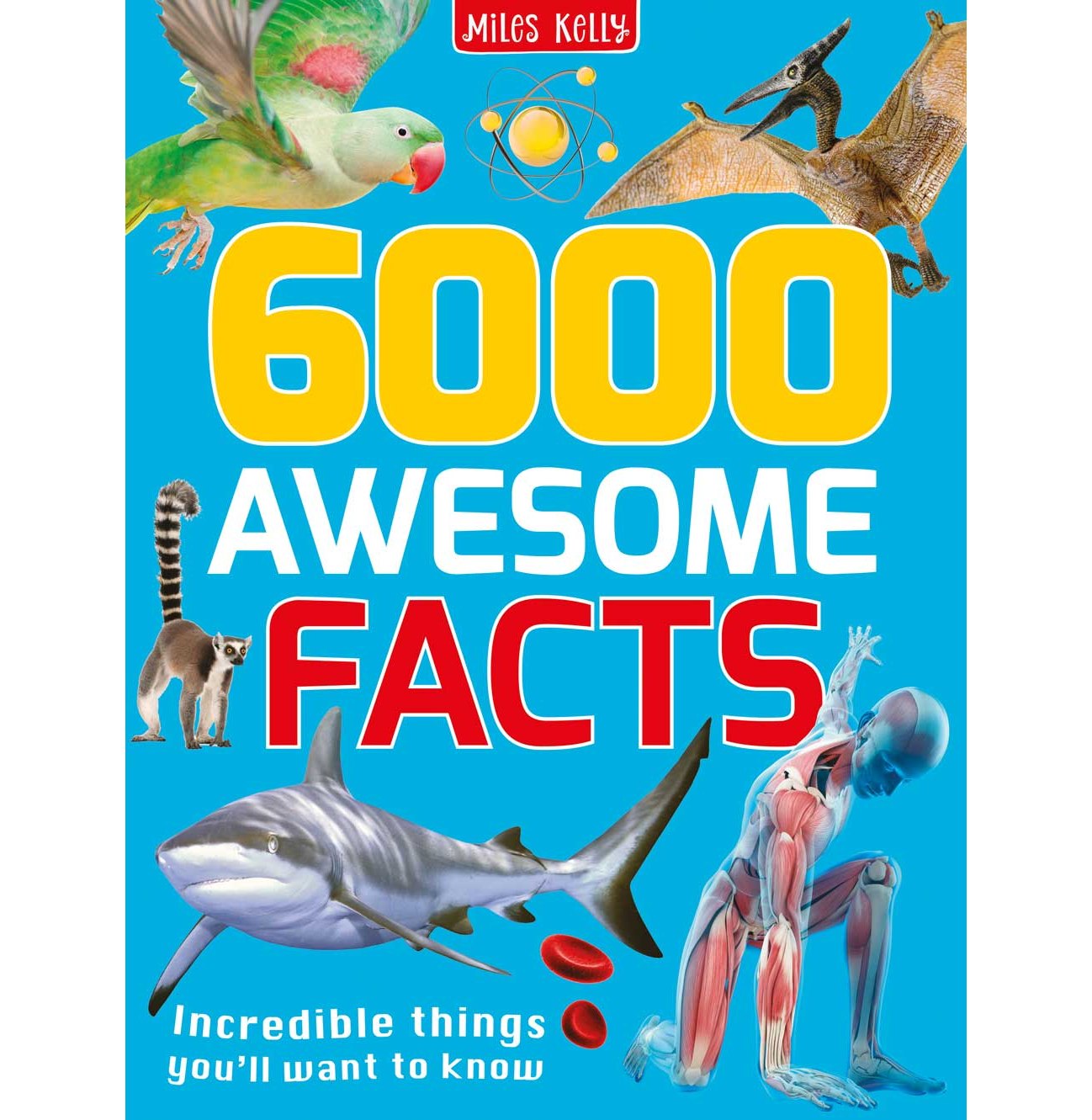 6000 Awesome Facts