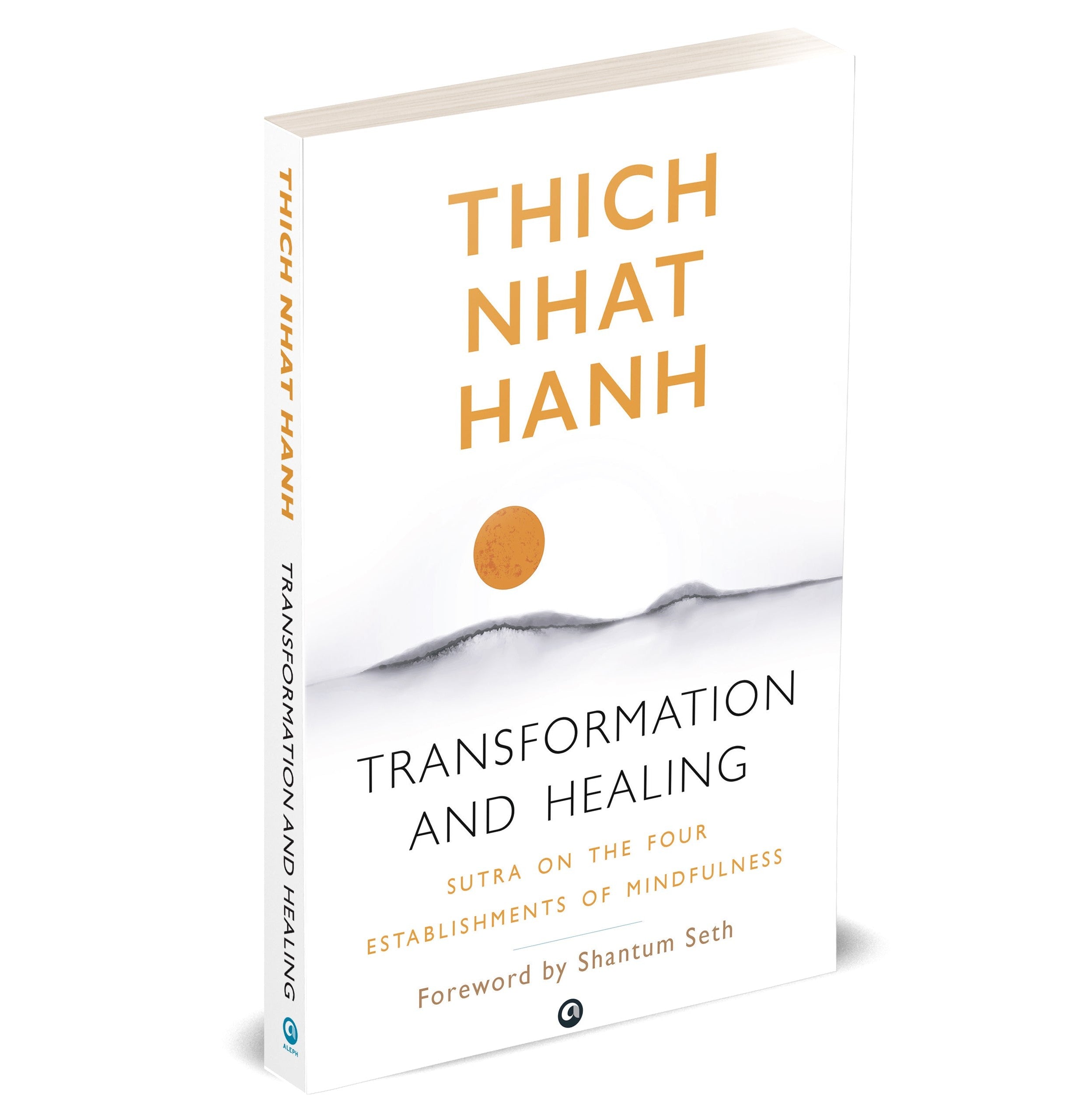 Transformation And Healing: Sutra On The Four Establishments Of Mindfulness