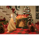 imag5Single Candle Box Spiral Christmas Tree buy online at crossword.in