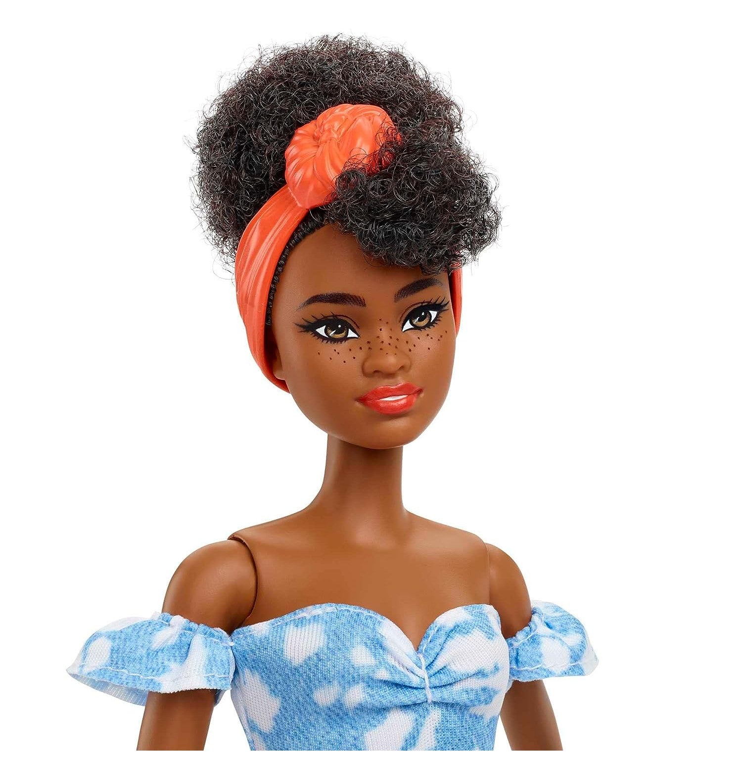 Barbie Fashionistas Doll Assortment