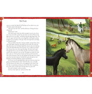 image //www.c...Black Beauty Children's Classic Sewell Anna