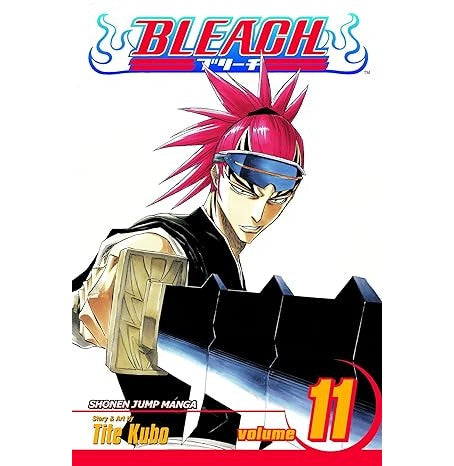 Bleach 11