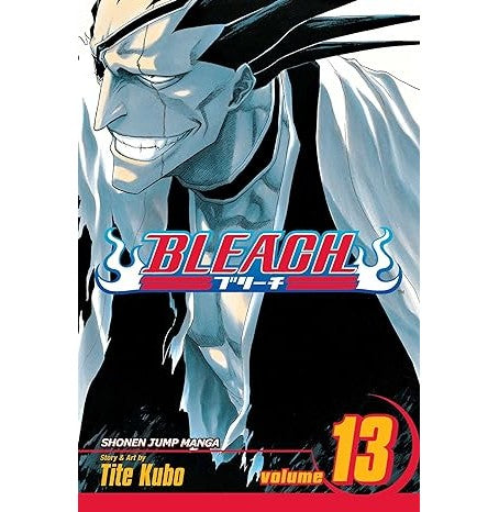 Bleach 13