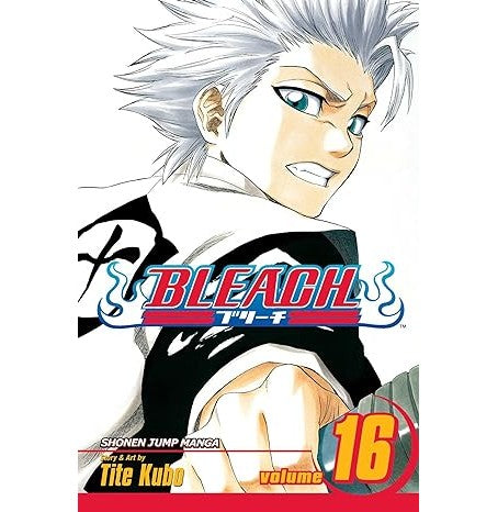 Bleach 16