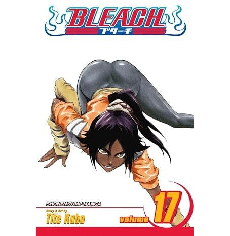 Bleach 17