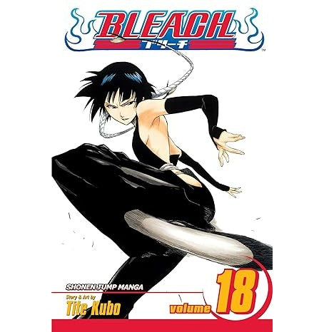 Bleach 18