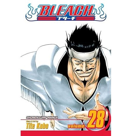 Bleach 28