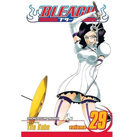 Bleach 29