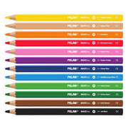 image //www.c...Box 12 Maxi Hexagonal Colour Pencils + Sharpener