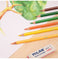 imag4Box 18 Triangular Coloured Pencils