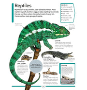 image //www.c...DK CHILDREN'S ENCYCLOPEDIA HB