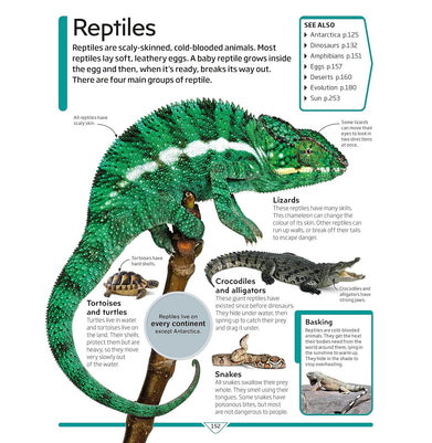 imagDK CHILDREN'S ENCYCLOPEDIA HB
