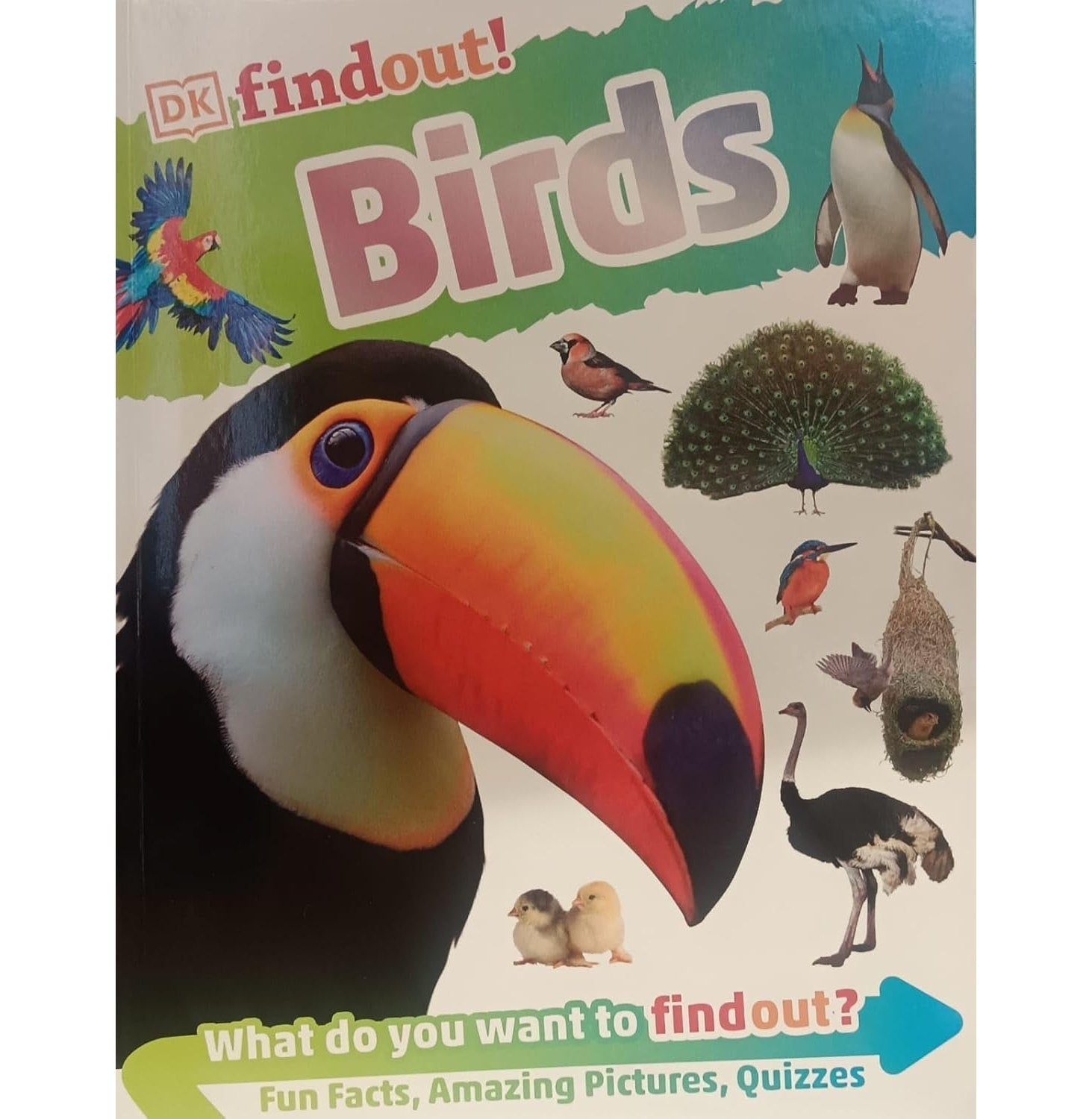 Findout Birds