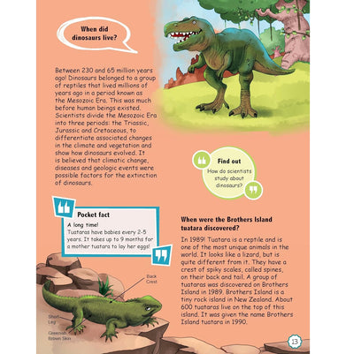 imagEncyclopedia: When Questions Children Ask : Encyclopedia books for kids : Questions and Answers about Human bodySolar System Science Nature and Many More… Paperback Om Books Editorial Team