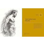 image //www.c...ESSENTIAL HUMAN ANATOMY FOR ARTISTS