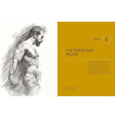 imagESSENTIAL HUMAN ANATOMY FOR ARTISTS