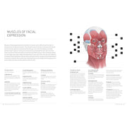 image //www.c...ESSENTIAL HUMAN ANATOMY FOR ARTISTS