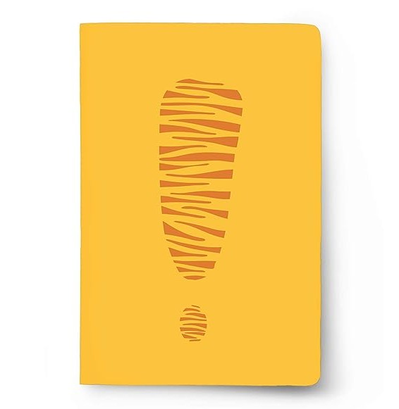 A5 Plain Notebook - Pack Of 2, 100 Gsm, 144 Pages Each