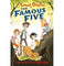 imag1FAMOUS FIVE:06: FIVE ON KIRRIN ISLAND AGAIN Paperback Blyton Enid