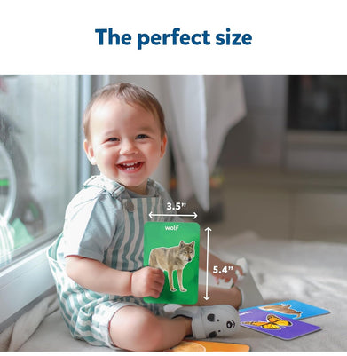 imagFlash Cards For Toddlers : First 100 Animals