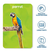 image //www.c...Flash Cards For Toddlers : First 100 Animals