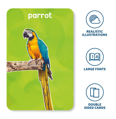 imagFlash Cards For Toddlers : First 100 Animals