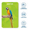 imag6Flash Cards For Toddlers : First 100 Animals