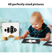 image //www.c...Flash Cards - High Contrast