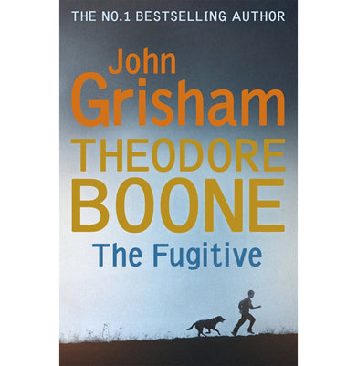 imagTheodore Boone: The Fugitive