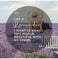 imag4Hexa Jar Votice Candle - Lavender