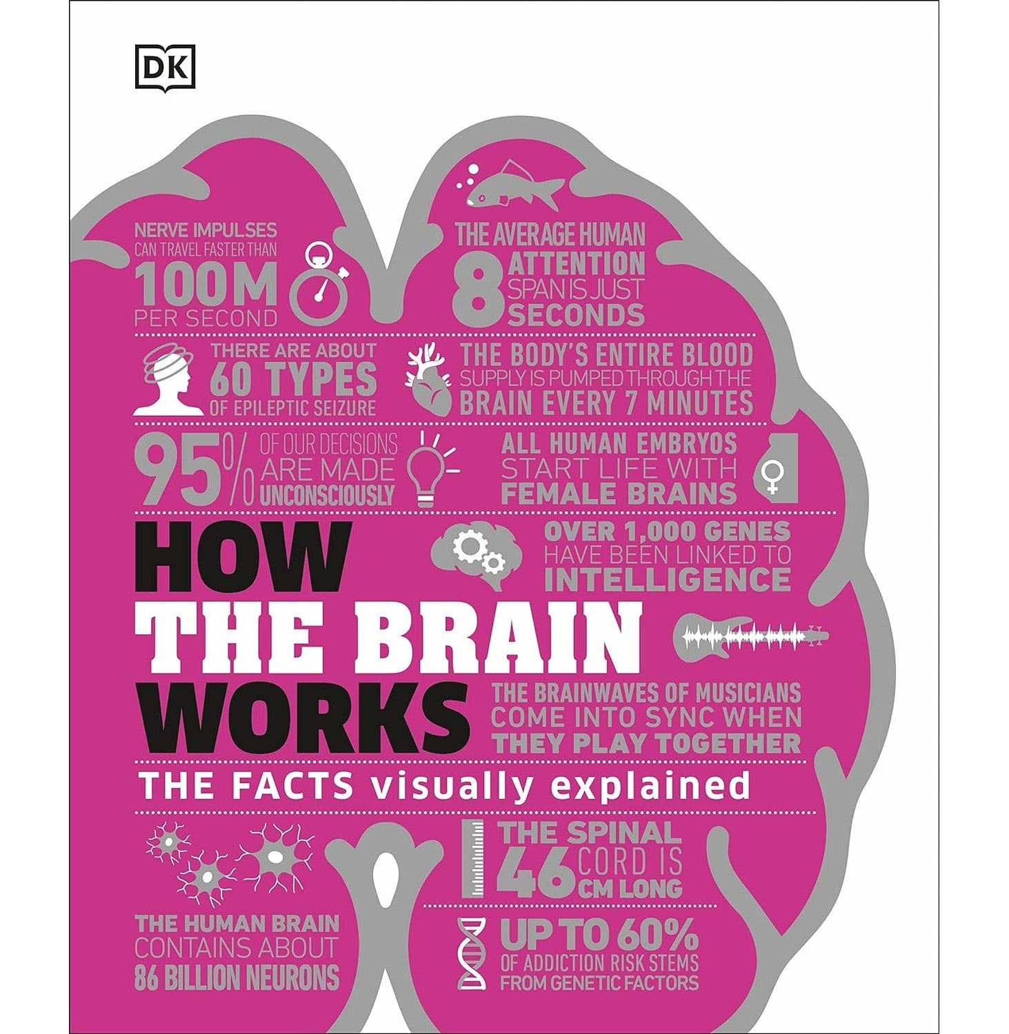 How The Brain Works